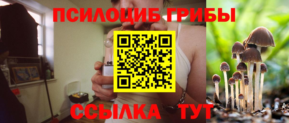 Ессентуки  Псилоцибиновые грибы Psilocybe  Вход с VPN 