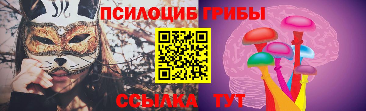 Псилоцибиновые грибы MAGIC MUSHROOMS Ессентуки